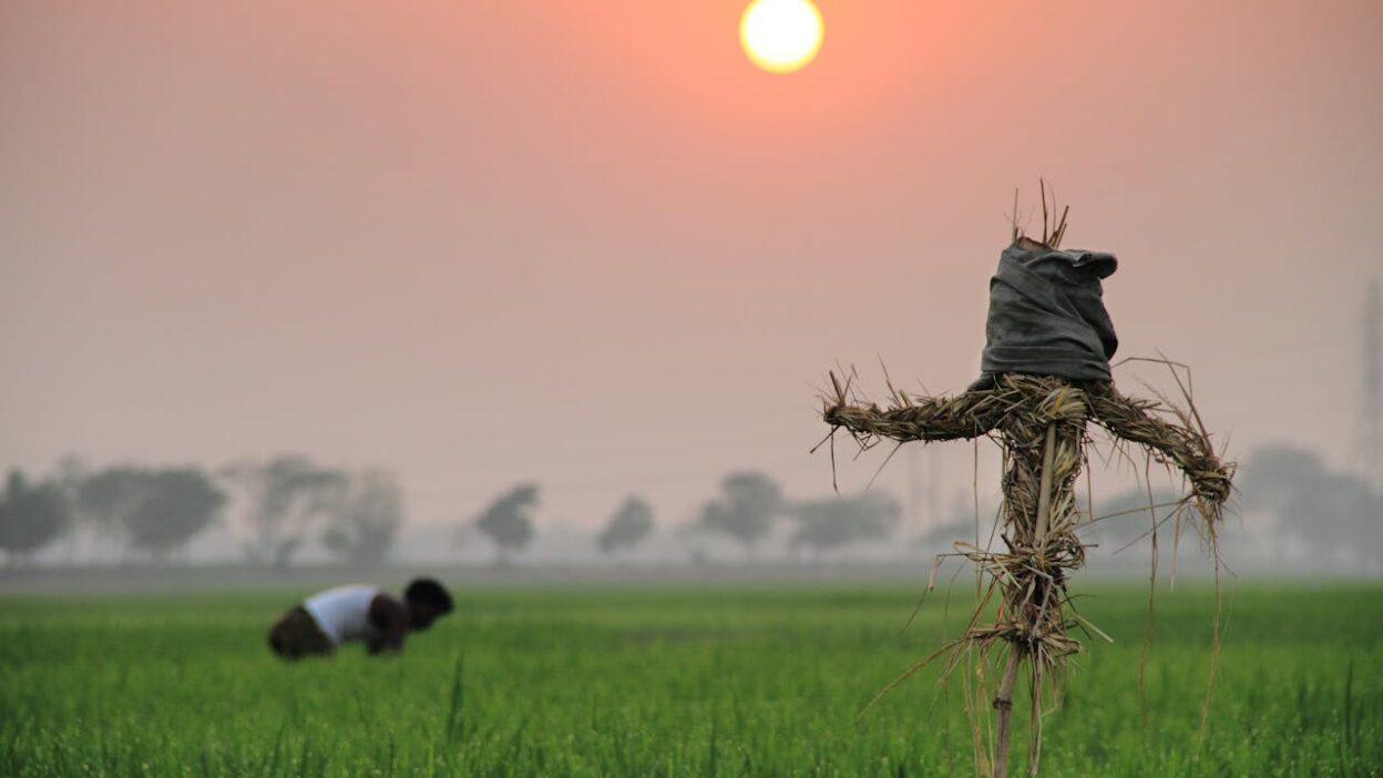 Flag of Bangladesh waving in the wind, symbolizing the country's rapid economic growth and emerging market potential.