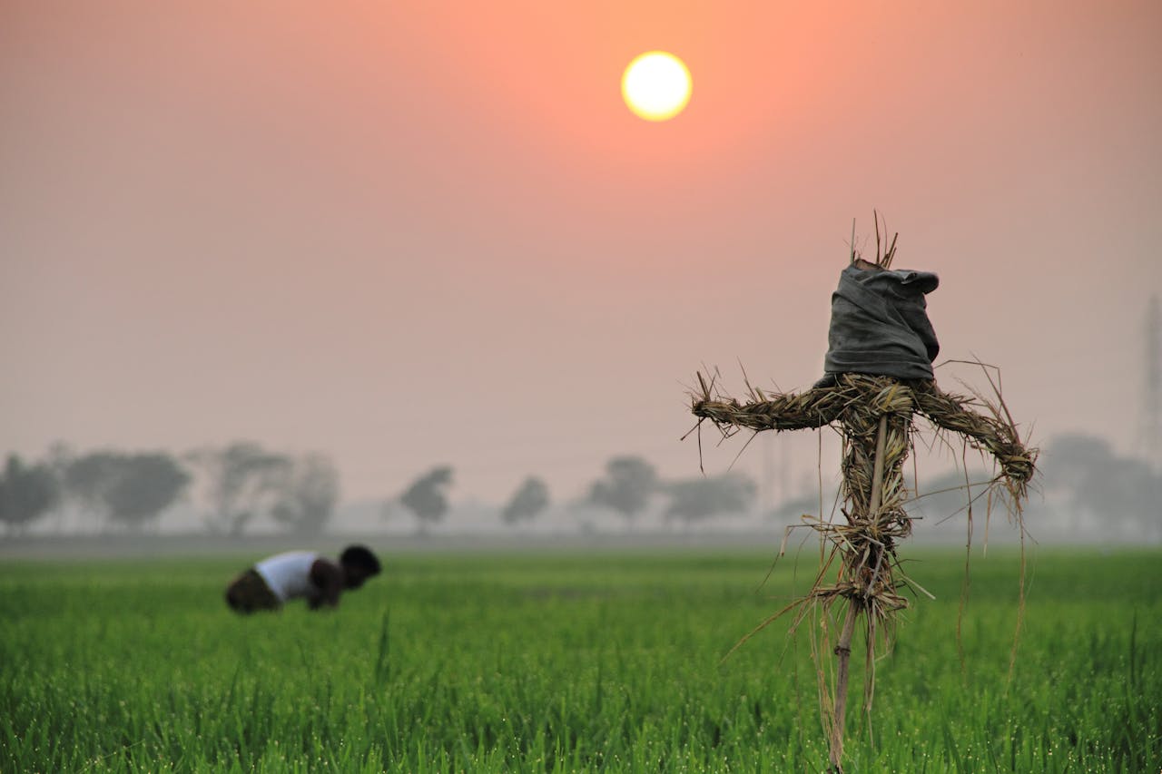 Flag of Bangladesh waving in the wind, symbolizing the country's rapid economic growth and emerging market potential.